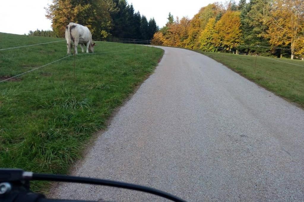 Maison indépend. 6 personnes à 10 mn de Gérardmer Granges-sur-Vologne Esterno foto