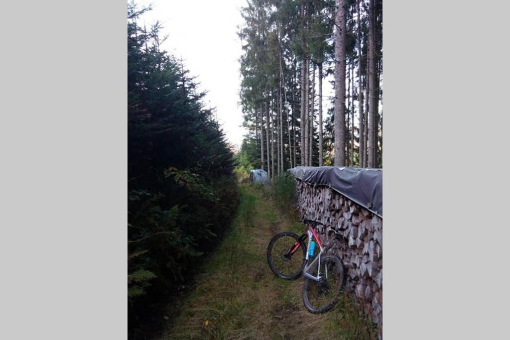Maison indépend. 6 personnes à 10 mn de Gérardmer Granges-sur-Vologne Esterno foto